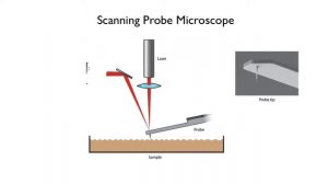 Atomic Imagery & The Scanning Probe Microscope | Arbor Scientific