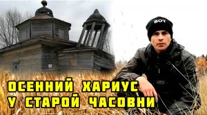 Хариус после заморозков. Рыбалка на поплавок. Осенняя рыбалка.