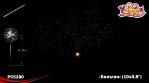 PC5280 Биатлон