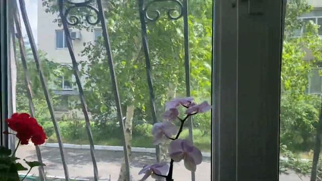 Съездила в салон, забрала очки… смотреть онлайн