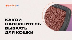 Какой наполнитель выбрать для кошачьего туалета? Сравнение наполнителей и цен