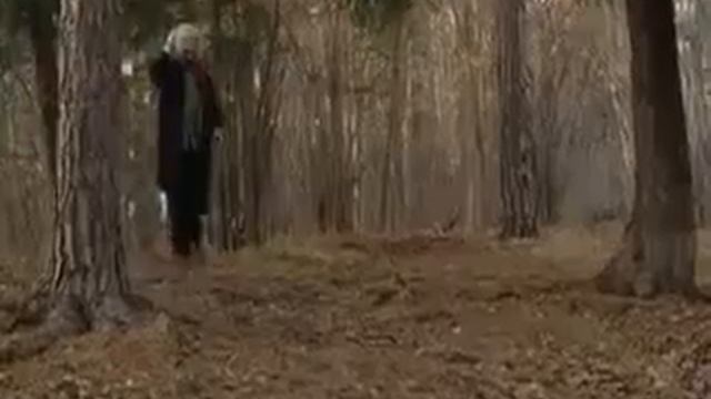 Bye Og Rønning - Dag Solstad Om Naturen смотреть онлайн