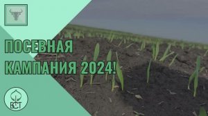 Посевная компания ФГБНУ ФНЦ БСТ РАН 2024