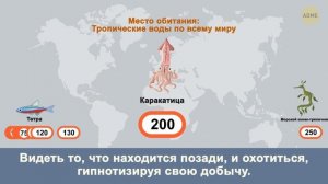 У какого вида животных рождается больше всего детенышей за раз