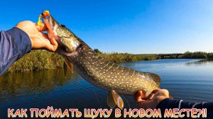 КАК поймать ЩУКУ в новом месте?!! Что ловит ЛУЧШЕ?