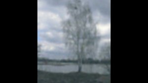 Мама, прости!