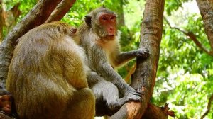 Beautiful Family   Jane  Jazzy and Jonna Surrounded By Lovely Friends