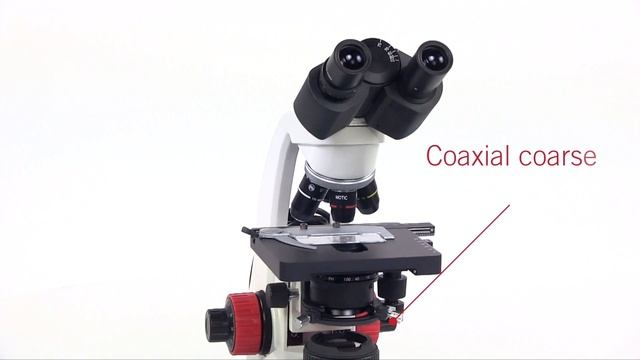 RED LINE presentation | by Motic Europe смотреть онлайн