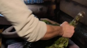 Деревенская баня "Не'мысли"