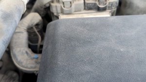 После многолетней стоянки