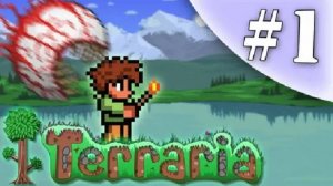 Террария КАК ВЫЖИТЬ?/ПОМОГИТЕ!