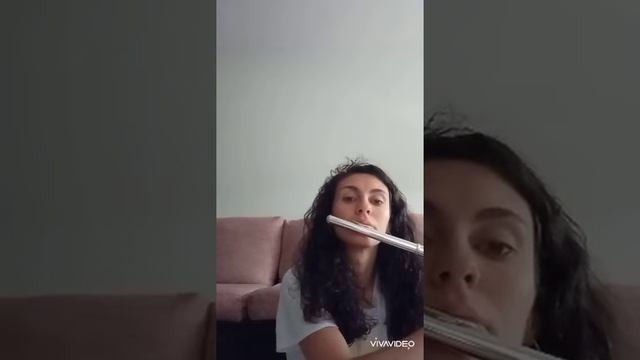 FLAUTA TRAVERSA: La rosa de los vientos (Mago de Oz) 🎶 смотреть онлайн