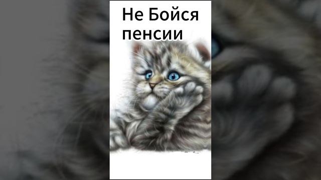 Следуй за Мечтой #юмор