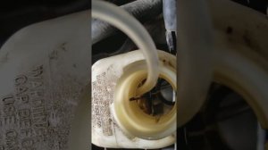 FIX Stuck Chevy Impala Brake Fluid Reservoir Float