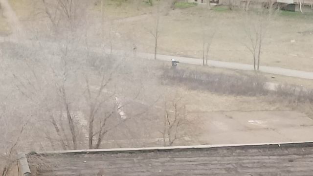 VID_20240412_084853