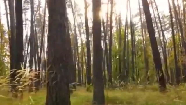 Соль жизни!!!