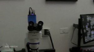 Microscope Versatility Overview