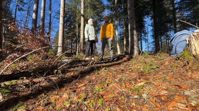 МЕДИТАЦИЯ САМОИСЦЕЛЕНИЯ | САМО ОСТЕОПАТИЯ | Практика Заземления для Здоровья