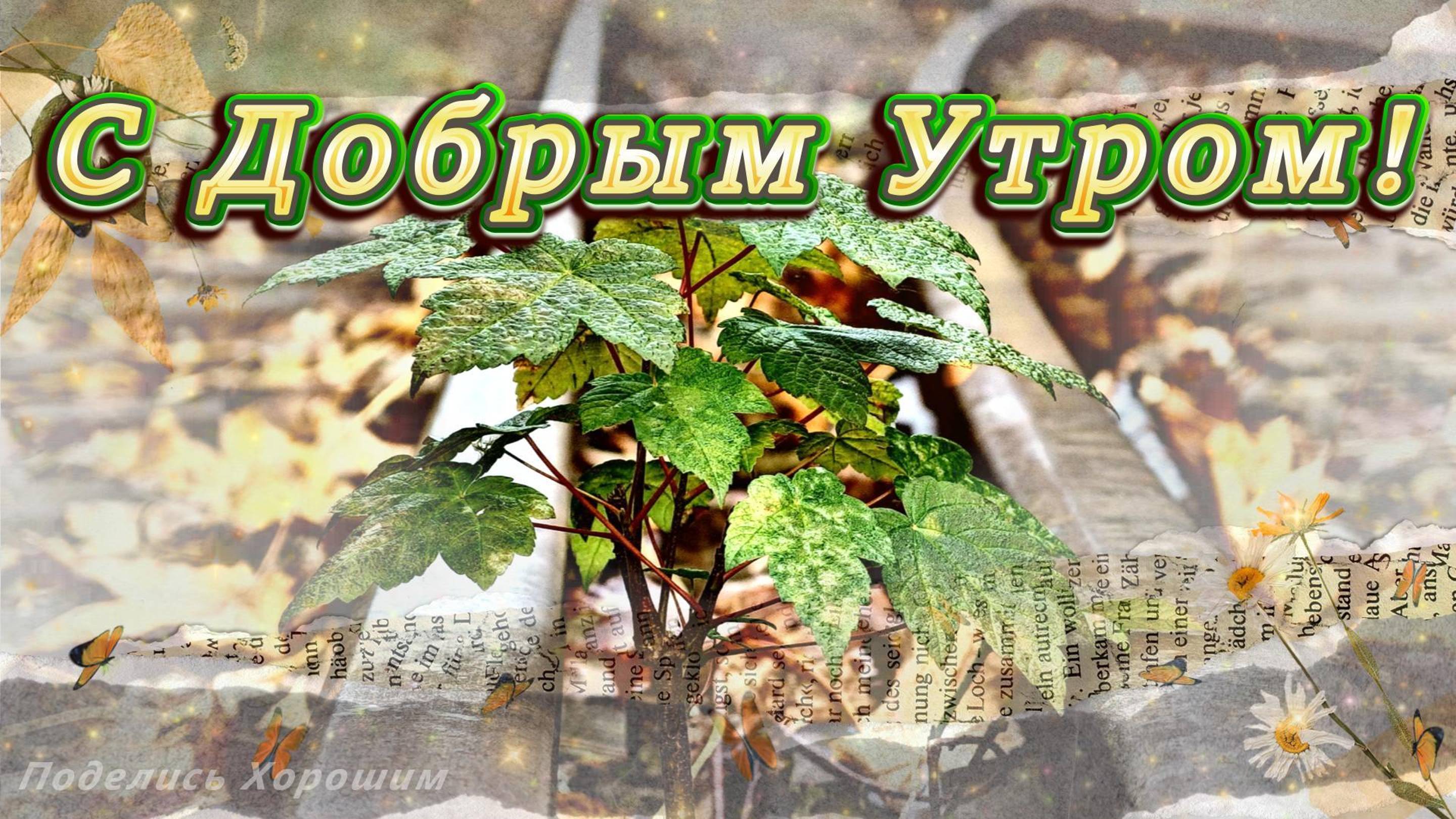 С Добрым Утром!