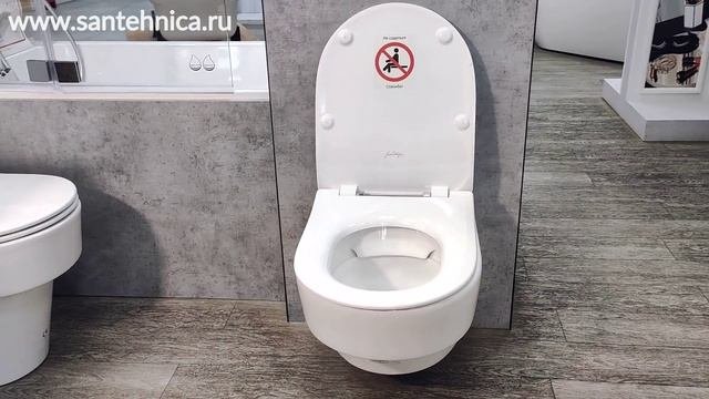 Подвесной унитаз Jacob Delafon Odeon Rive Gauche EDR102-00, безободковый