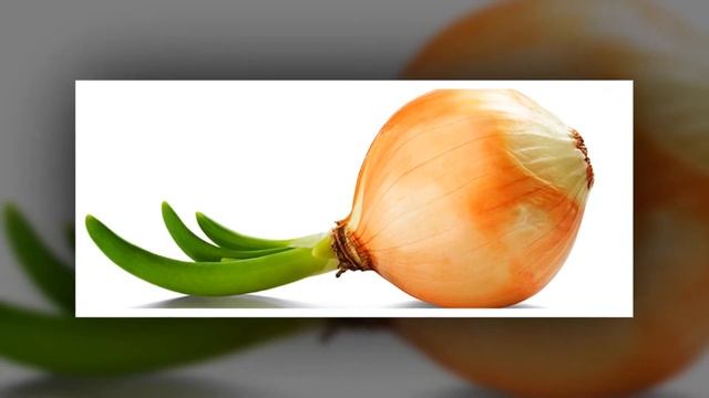 PIYOZDOSHLAR OILASI | ПИЙОЗДОШЛAР ОИЛAСИ.