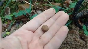 День Военного Разведчика 5 ноября 2023 год