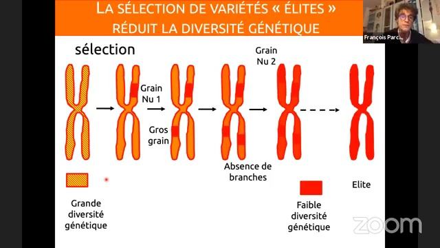 Comment l'homme a domestiqué les plantes, par François Parcy & Matthieu Massart смотреть онлайн