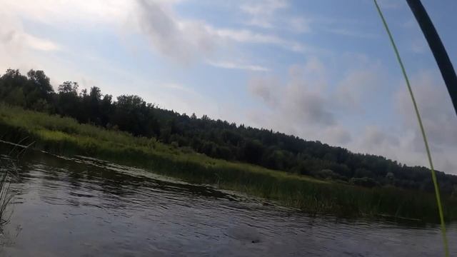Нахлыст на Угре  #нахлыст #flyfishing  #угра #отчётсрыбалки #нахлыстслипчанским