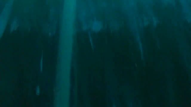 Orca : Fosse de 20m смотреть онлайн