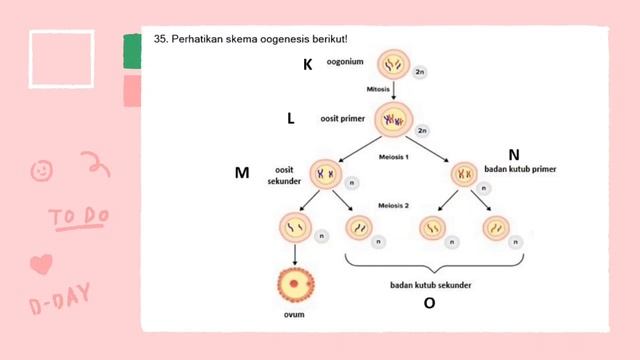 Pembahasan Soal PPAD 1 IPA Sleman 22/23 Bagian 4 @ayahtanto смотреть онлайн