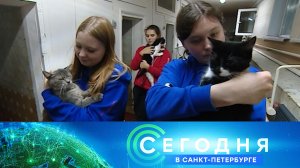 «Сегодня в Санкт-Петербурге»: 7 октября 2024 года