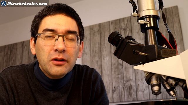 TARDIGRADES (Water Bears) under the microscope | Moss Piglet смотреть онлайн