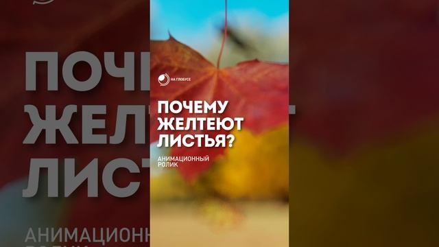 Почему желтеют листья? | На Глобусе