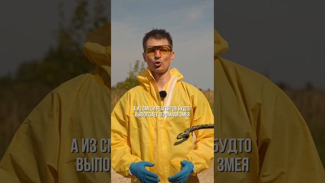 Фараонова змея   #shorts #опыты #tiktok #эксперементы