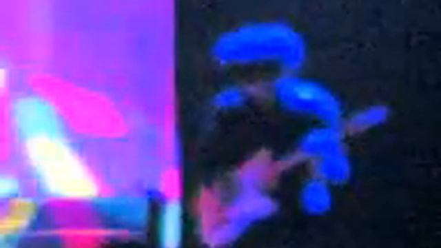 James Chance & Les contortions смотреть онлайн