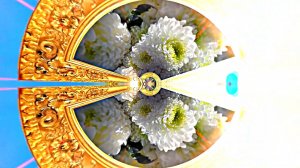 Осень!!! Осенние Цветы 5!!! Очарование осени!!! Осенняя Краса!!! Осенним женщинам!!!