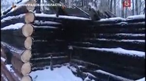 СОЖГЛИ ДОМ И СНЯЛИ НА МОБИЛЬНЫЙ