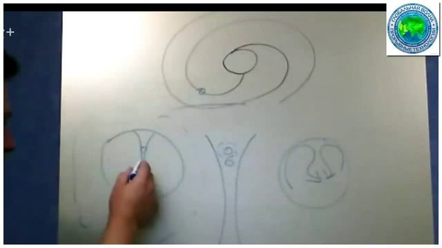 SCALPEL911-редакция. Мишин А. 3-1. Азы понимания. смотреть онлайн