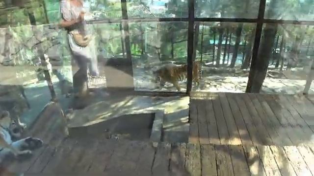 Он того стоит. Сафари парк. Геленджик смотреть онлайн