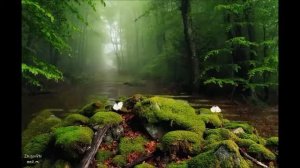 Как упоительны в России вечера