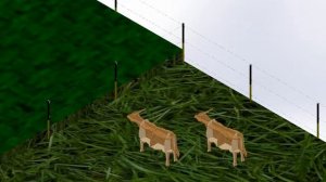 Откорм бычков Электропастух