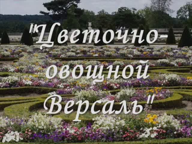 07. Видеоролик проекта "Цветочно-овощной Версаль". 2013 г.