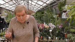 Борьба с вредителями.