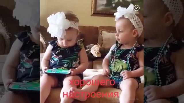 Что тут скажешь - разный темперамент. Хоть и близнецы.