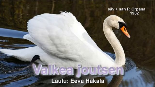 Valkea joutsen смотреть онлайн