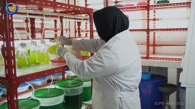Cara Mengukur Kepadatan  Plankton Menggunakan Haemocytometer