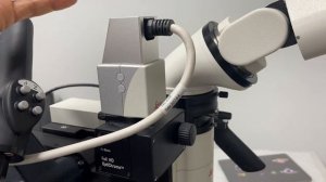 THE Most Important Part - Leica Dental Microscope Review (for Root Canals)