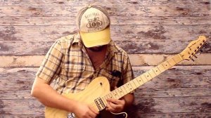 Удивил играбельностью Harley Benton TE-90FLT VW Deluxe Series. Обзор