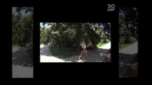 в поисках сокровищ