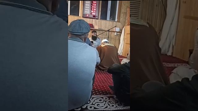 Тулпар Андийский 02.04.2024г. смотреть онлайн